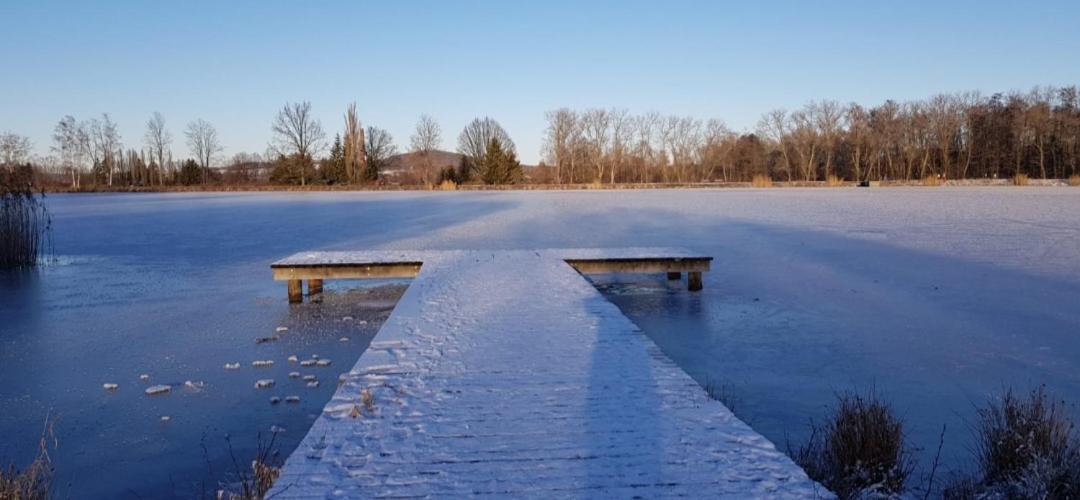 Vila Chaloupky U Matusku Varnsdorf Pokoj fotografie