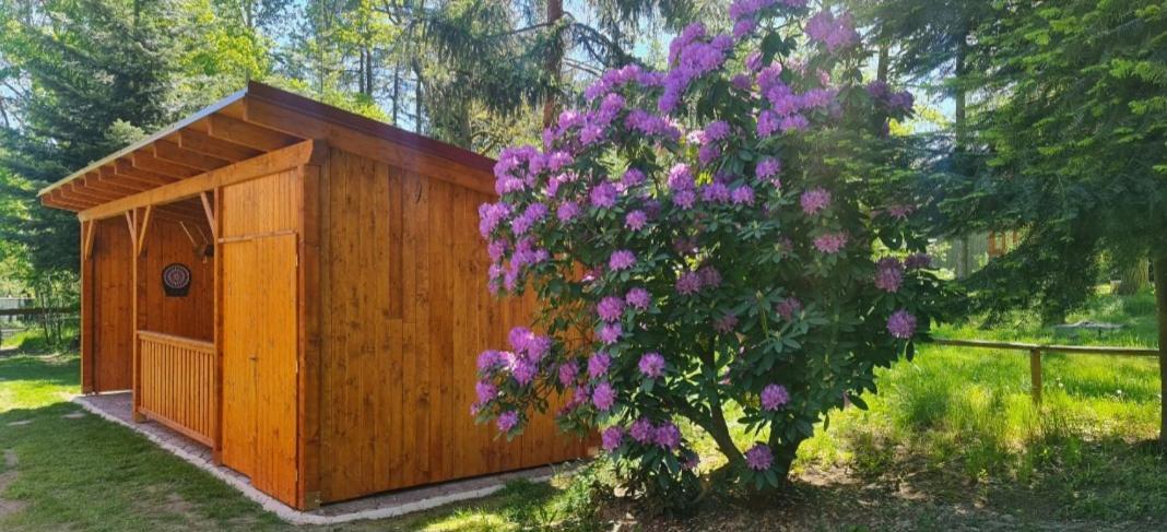 Vila Chaloupky U Matusku Varnsdorf Exteriér fotografie