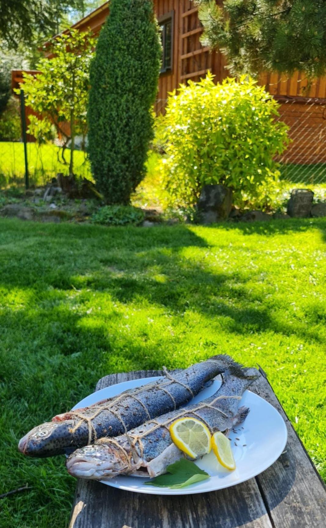 Vila Chaloupky U Matusku Varnsdorf Exteriér fotografie